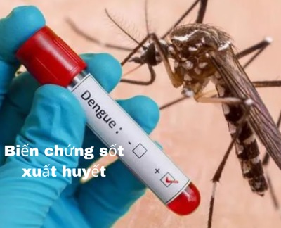 Muoi-van-Aedes-mang-virus-Dengue-cua-nguoi-benh-sot-xuat-huyet-sang-nguoi-khoe-manh_11zon.webp